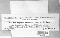 Image Associated With the Occurence